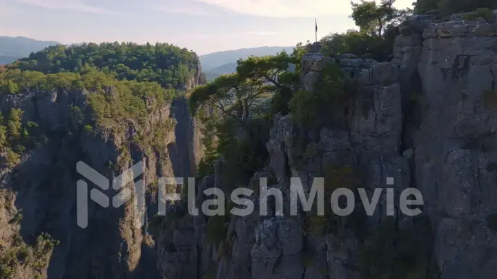 Big green canyon in sunny weather. Green trees and gray rocks. Mountain landscape. Aerial drone view