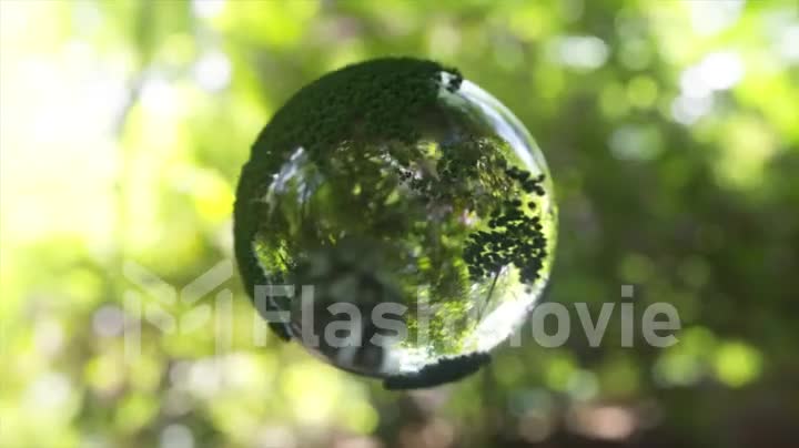 Eco concept. Glass globe ball shaped planet Earth rotates. Green nature blur background. 3d animation of seamless loop