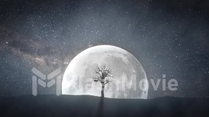 Time lapse of a sprouting tree against the background of a full moon and a rotating universe around