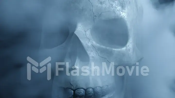 Textured skeleton skull in smoke, The concept of horror. 3d illustration