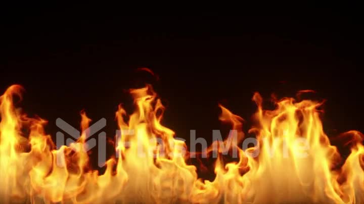 Fire burns in slow motion on a black isolated background