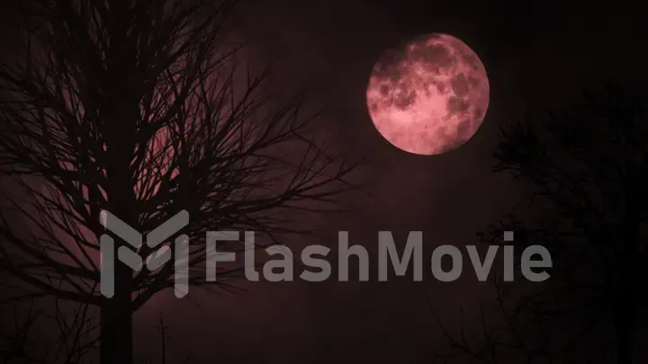 Blood red moon light night sky. spooky trees silhouette. darkness. scary sky. clouds moving realistic 3d illustration