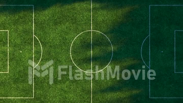 Football field in the middle of the forest top view. Simulated aerial photography. Realistic 3D animation
