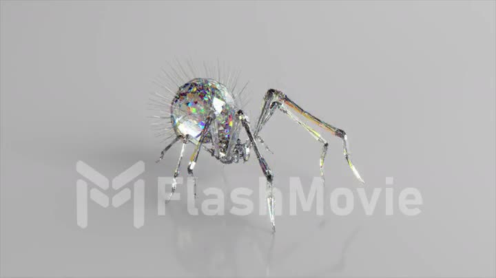 The diamond spider is walking. The concept of nature and animals. Low poly. White color. 3d animation of seamless loop