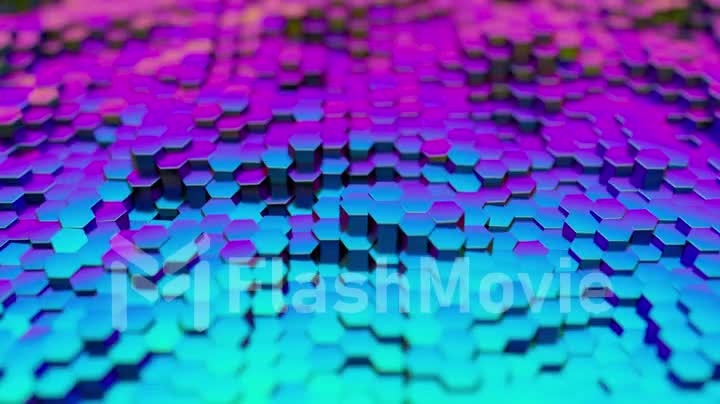 Abstract hexagons random motions background, seamless loop 3d render. Modern ultraviolet light spectrum. Blue purple colors