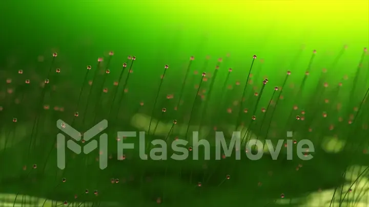 3D rendering colorful particle line like a flower grow. Glowing lines and light particles on dark blue background.