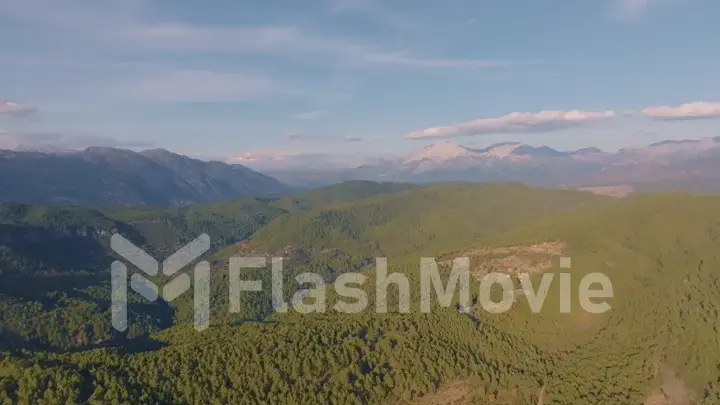 Aerial drone view of green trees on a hill against a blue sky. Mountain landscape. Canyon. Green Forest. Road.