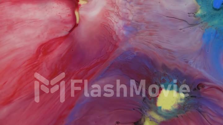 Bright colorful acrylic paints mix into abstract pigments in slow motion. Abstract color moving background close up macro