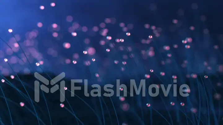 3D rendering colorful particle line like a flower grow. Glowing lines and light particles on dark blue background.