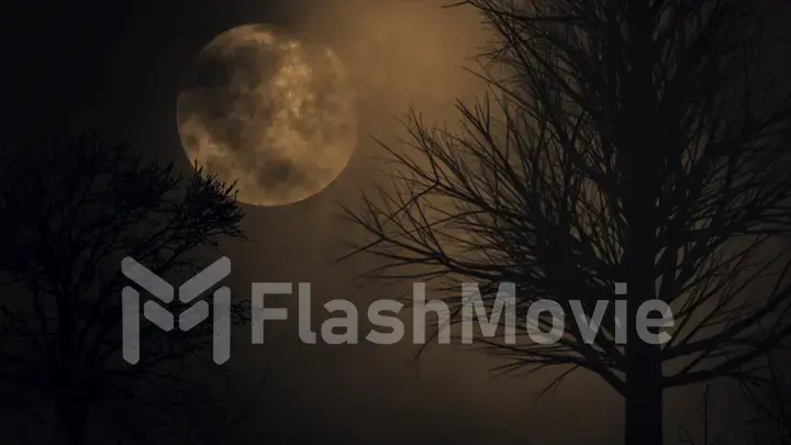 Spooky moon background. tree silhouette. large full moon close up. time lapse. night sky 3d illustration