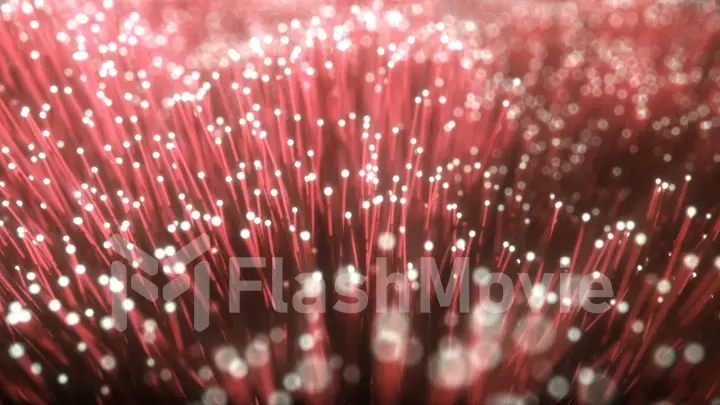 Millions of fiber optic cables with light movement, camera moves along wires transmitting data signal. 3d illustration