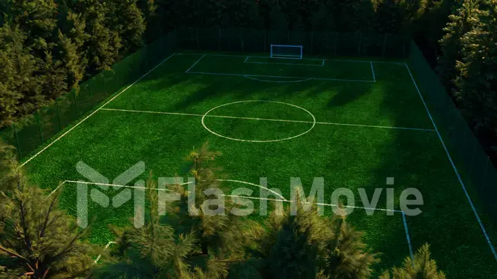 Football field in the middle of the forest top view. Simulated aerial photography. Realistic 3d illustration