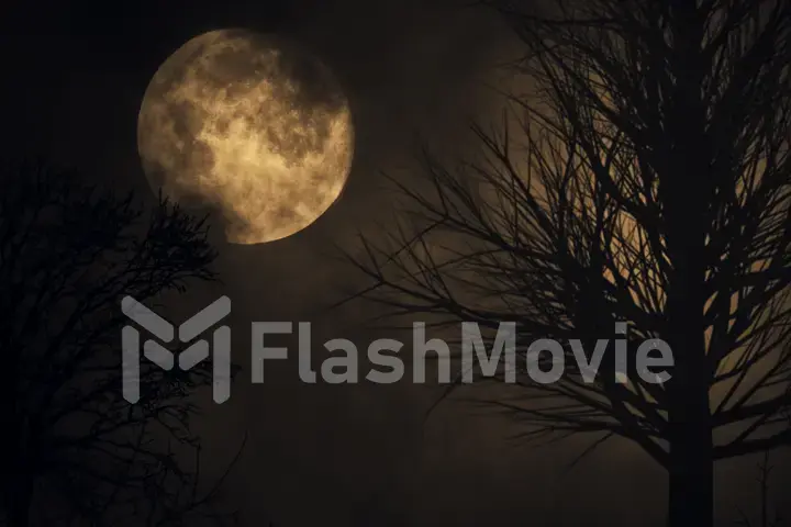 Spooky moon background. tree silhouette. large full moon close up. time lapse. night sky 3d illustration