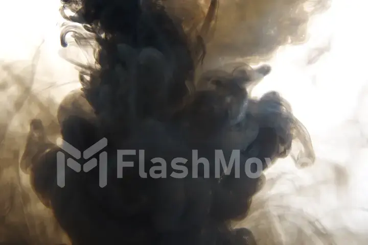 Black and white ink mix in water on a white isolated background in slow motion. Inky cloud swirling flowing underwater. Abstract smoke explosion