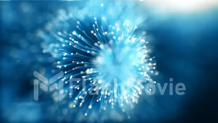 Growing bunch of optical fibers, Distribution of the light signal 3d illustration