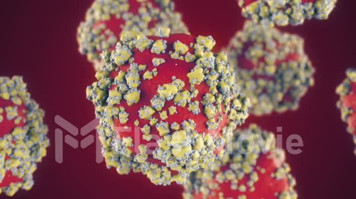 New Coronavirus 2019-nCov coronavirus concept