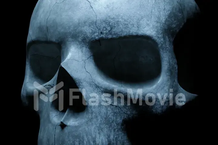 Human skull on an isolated black background. Texture cracked skeleton bone close up. The light turns on and off. 3d illustration