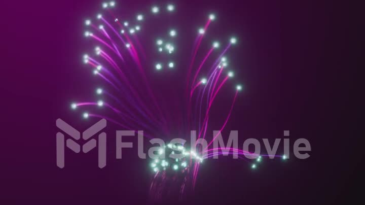 Abstract optical fiber spreads on the black background. Technology style animation.