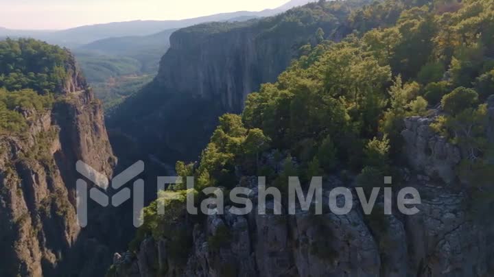 Mountain landscape. Aerial drone video footage a big green canyon in sunny weather. Green trees and gray rocks.
