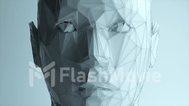 Abstract polygonal human face, artificial intelligence concept. 3d animation of seamless loop