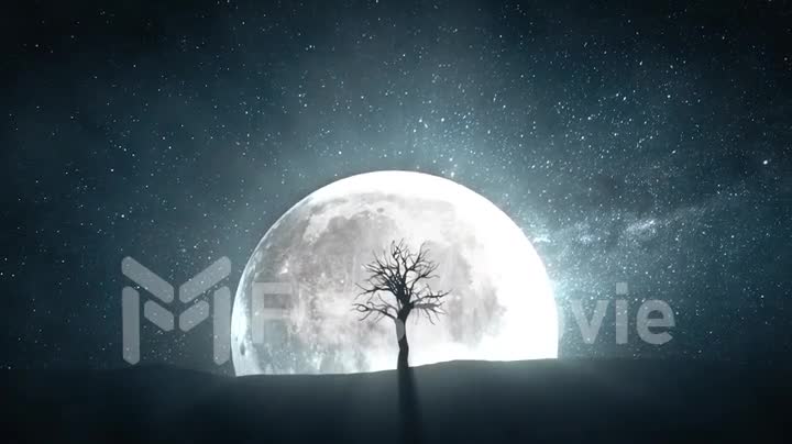 Time lapse of a growing tree against the background of a full moon
