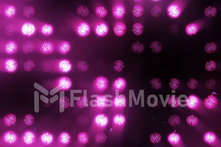 The wall of incandescent lamps is bright purple. LED background