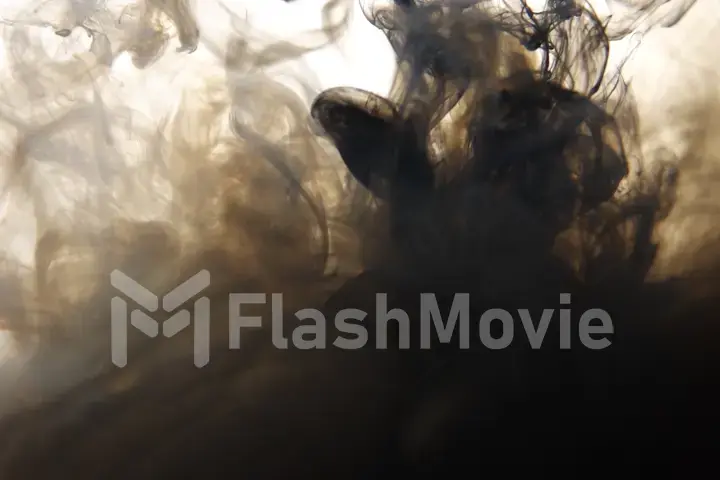 Black and white ink mix in water on a white isolated background in slow motion. Inky cloud swirling flowing underwater. Abstract smoke explosion
