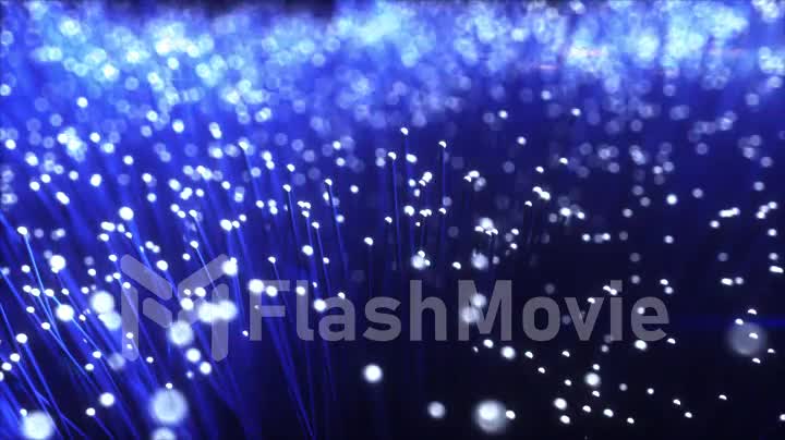 Millions of fiber optic cables carry the signal. The effect of the emerging light. 3d render