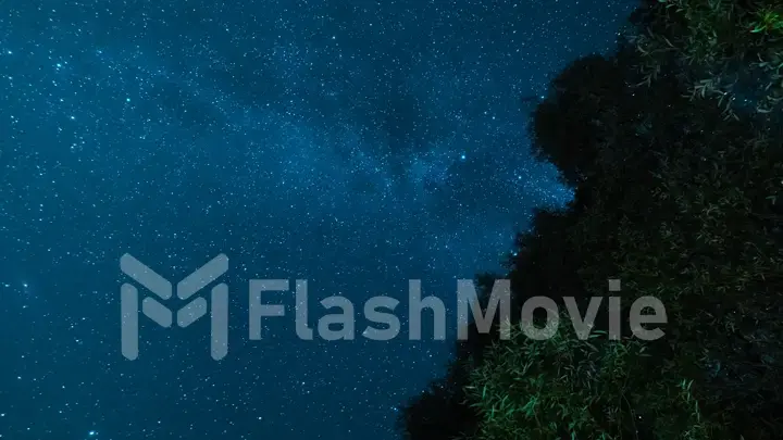 Lovely long exposure night photography. Milky Way in the night sky. Stars and space. Trees in the foreground