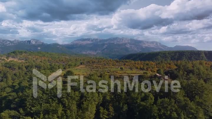 Flight over the green forest. The tops of the trees. Calm scenes. Blue sky and clouds. Drone video footage