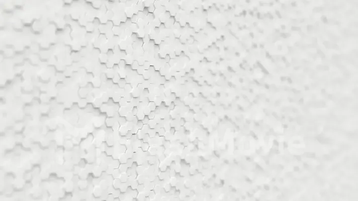 Abstract white minimalistic background made of plastic hexagons with shallow depth of field. Light minimal hexagonal grid pattern animation in modern clean white. 3d illustration