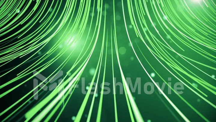 Abstract background with animation moving of lines for fiber optic network 3d illustration.See more color options in my portfolio