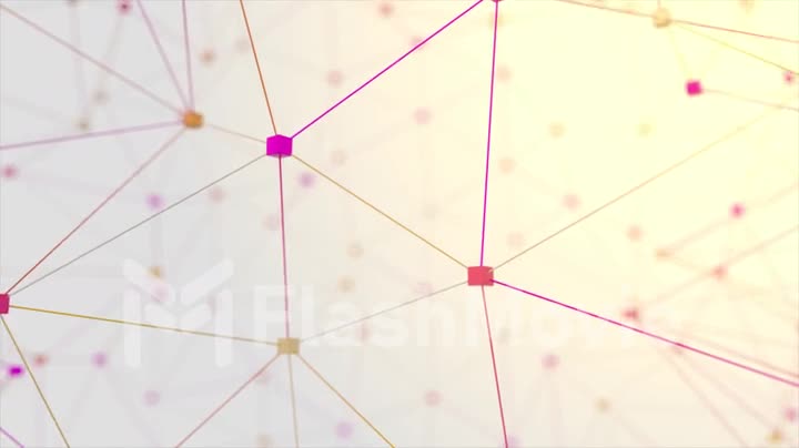 Network animation connected cube on white background. Seamless loop 4K