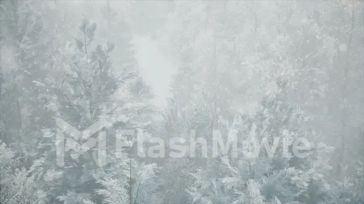 Winter snowfall in the forest, gentle lovely snowy Christmas morning with falling snow. Winter landscape. Snow covered trees and trails. Fog. Ultra realistic 3d illustration