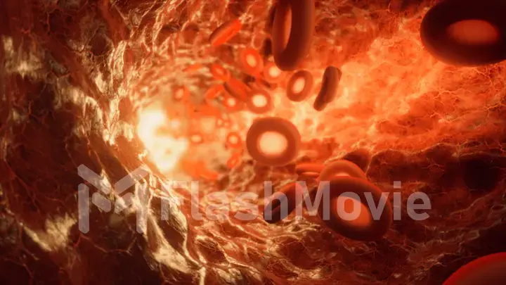 Red blood cells travelling through a blood vessel. 3d illustration