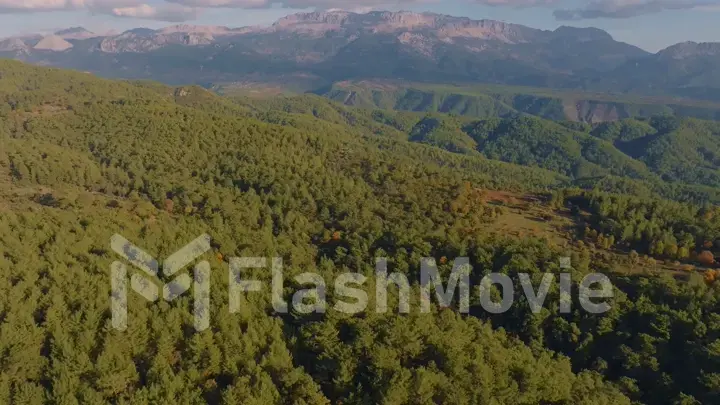 Beautiful landscape. Top view of green hills and forests. Blue sky and clouds. Countryside. Wildlife. Aerial drone view