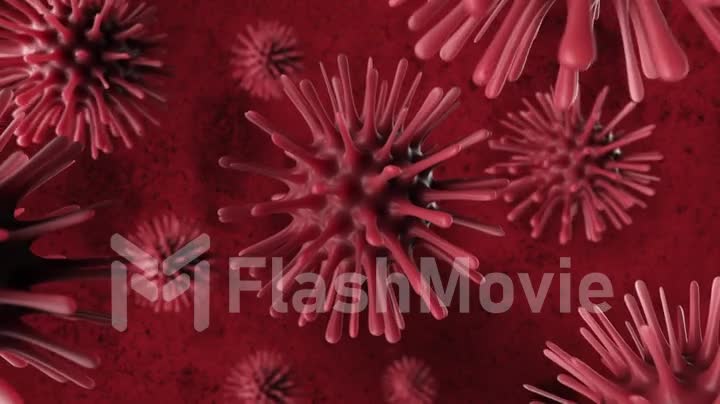 A deadly coronavirus bacterium under a microscope