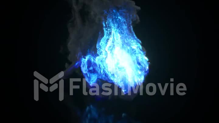 Burning Collection. Fire lion. Nature and animals concept. Running lion. 3d animation of seamless loop.