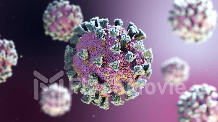 Rotation of coronavirus cells