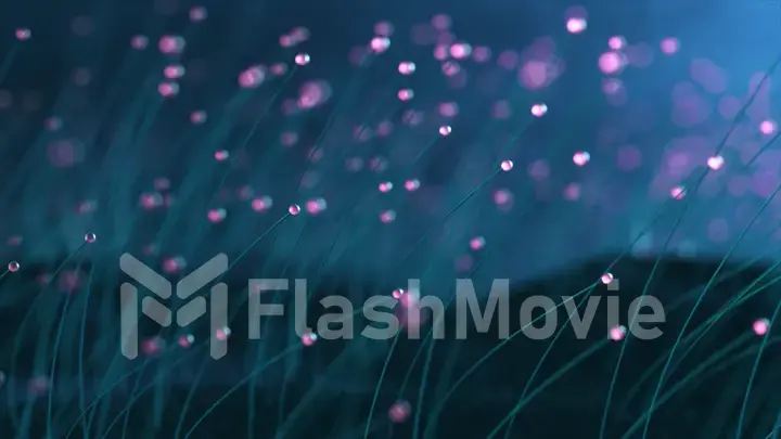 3d illustrationcolorful particle line like a flower grow. Glowing lines and light particles on dark blue background.