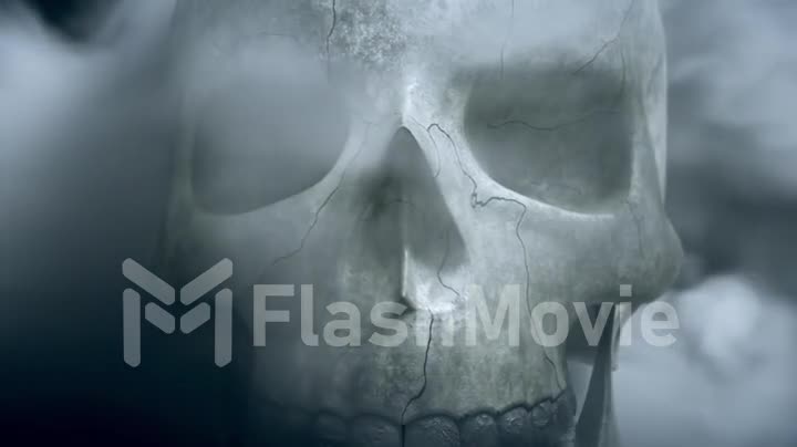 Textured skeleton skull in smoke, The concept of horror. 3d redner