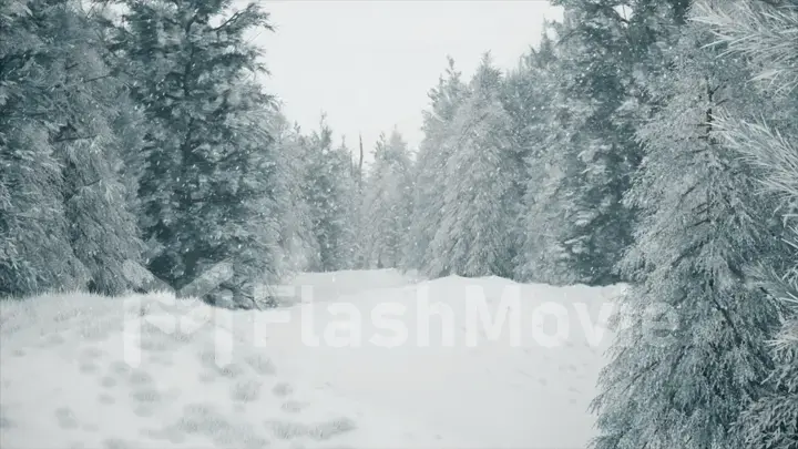 Winter snowfall in the forest, gentle lovely snowy Christmas morning with falling snow. Winter landscape. Christmas background. Snow covered trees. Fog. Ultra realistic 3d illustration