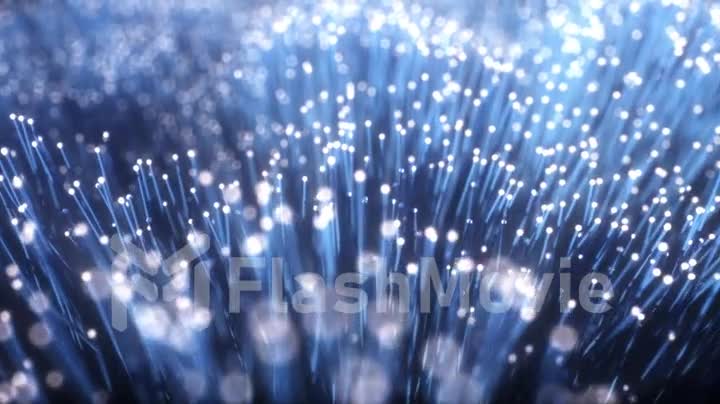Millions of fiber optic cables with light movement
