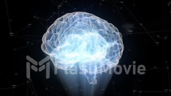 The human brain rotates formed of luminous particles. Plexus structure revolving around. Seamless loop 4k animation