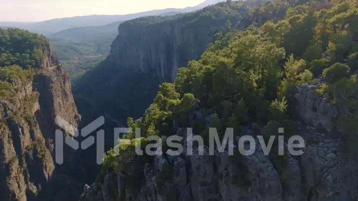 Mountain landscape. Aerial drone view of big green canyon in sunny weather. Green trees and gray rocks.