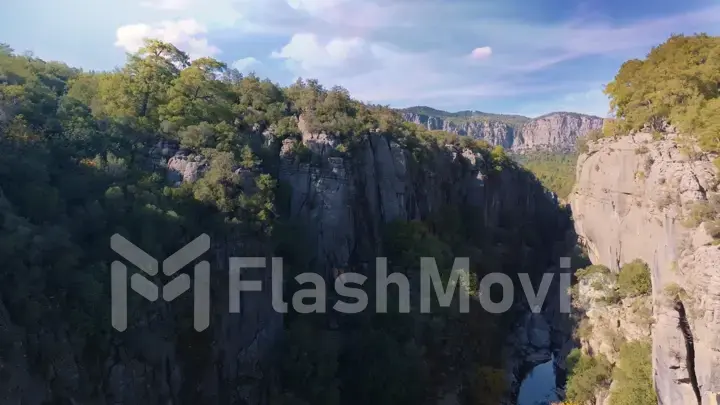 Mountain landscape. Aerial drone view of big green canyon in sunny weather. Green trees and gray rocks. Mountain river.