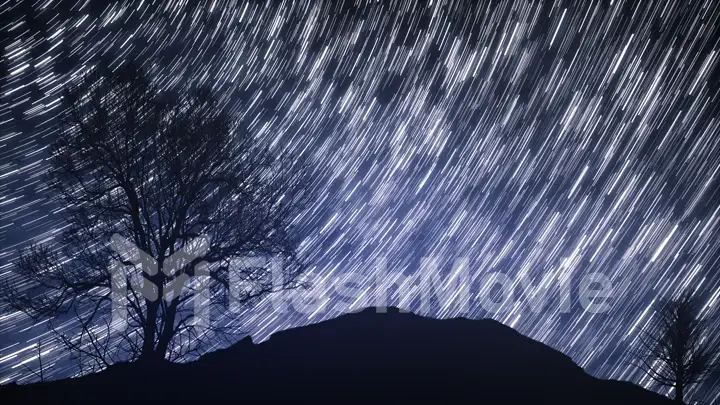 A time lapse of a starry night with a shadow of a tree in foreground and with a star trail effect. 3d illustration Elements of this image furnished by NASA