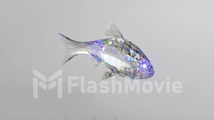 Swimming diamond fish. The concept of nature and animals. Low poly. White color. 3d animation of seamless loop