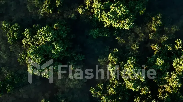 Stunning realistic 3D illustration of a sunset over a thick green forest in fog on a sunny day. Aerial view