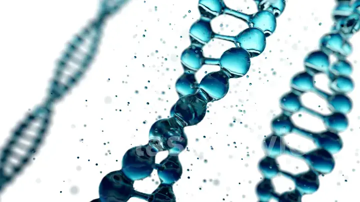 DNA molecule in water on isolated white background. 3d illustration